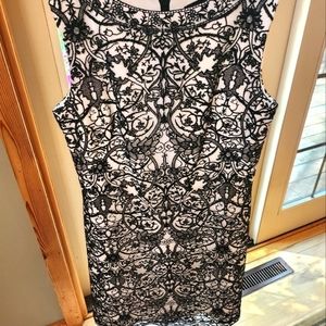 Tadashi Shoji Lacey Rayon Lined Sleeveless Sz. 12 Dress